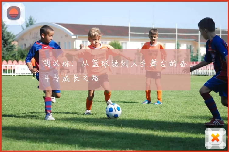 陶汉林：从篮球场到人生舞台的奋斗与成长之路