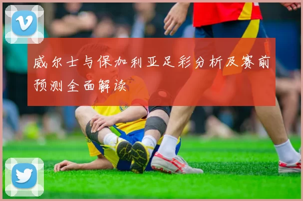 威尔士与保加利亚足彩分析及赛前预测全面解读