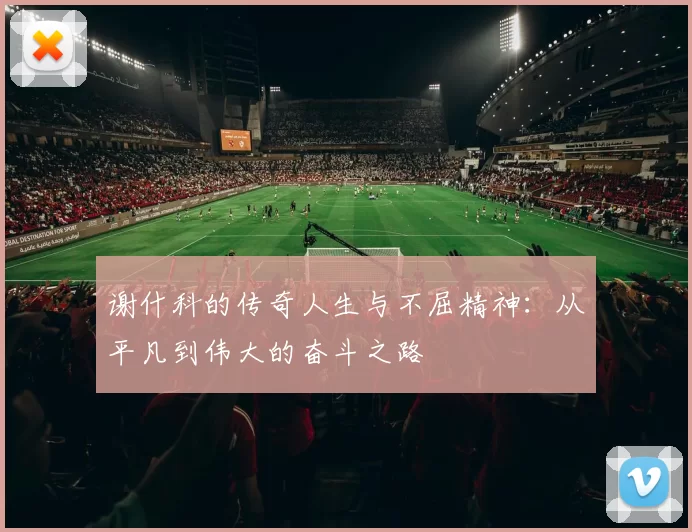 谢什科的传奇人生与不屈精神：从平凡到伟大的奋斗之路